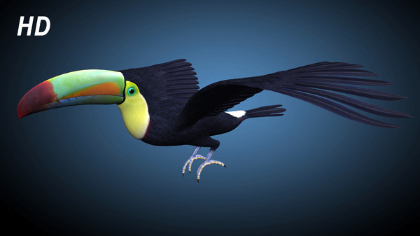 3d flying toucan - Toucan B ( Flying ) by MotionCow
